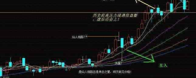 仙人指路是什么意思 仙人指路是什么意思，仙人指路的特点以及应用