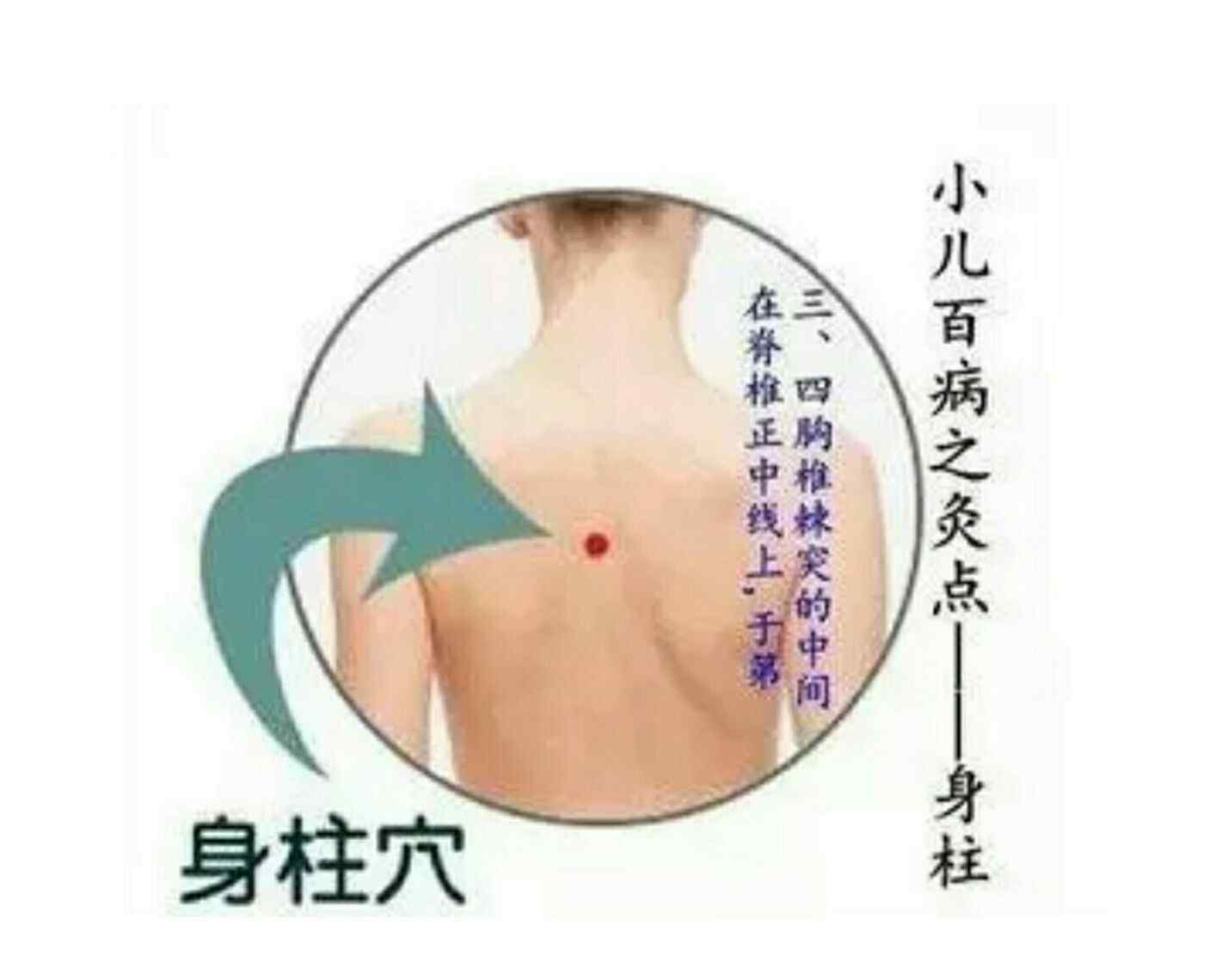 身柱 要长高 灸身柱