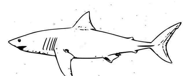 角鲨烯软胶囊的功效与作用 角鲨烯的作用功能，众所周知的好处，真不是吹嘘的！