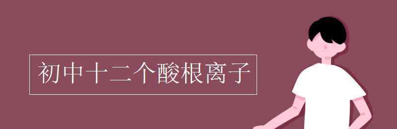 初中十二个酸根离子 初中十二个酸根离子