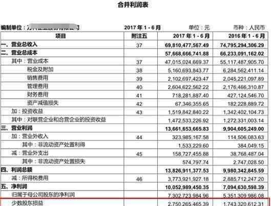 少数股东损益 少数股东损益是什么意思，少数股东损益对于利润表影响