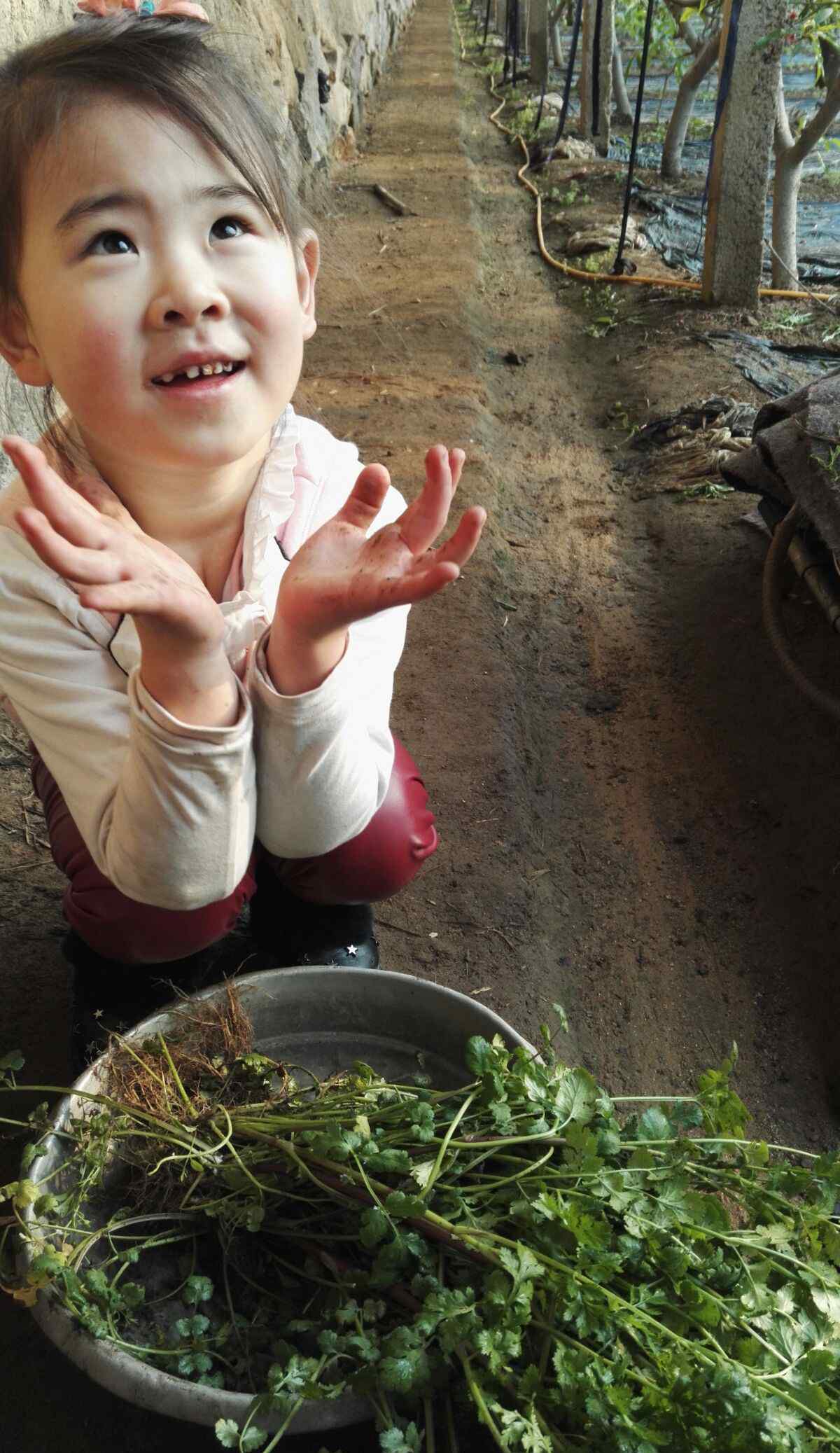 郑渊洁儿子 郑渊洁 父与子