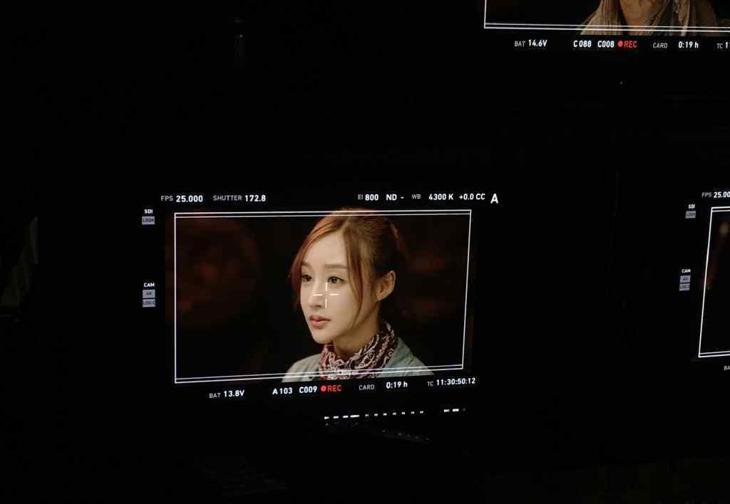 shirley杨 《鬼吹灯之牧野诡事》Shirley杨扮演者是谁？饰演者刘羽琦个人资料