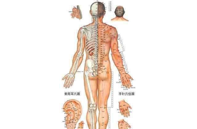 中医学上常说“细则不疼,痛则堵塞”,实际上是讲,在气血不通时