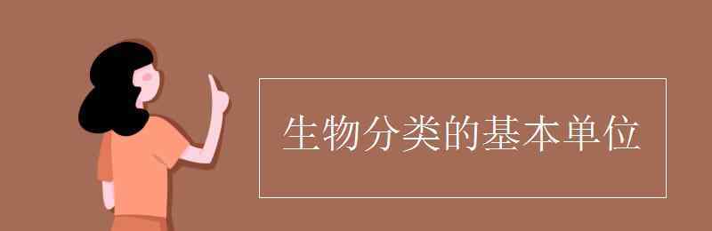 生物分类的基本单位 生物分类的基本单位