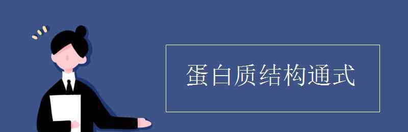 蛋白质结构通式 蛋白质结构通式