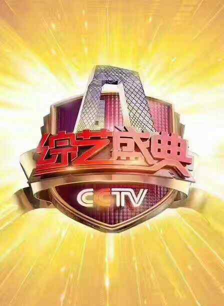 保德电视台 中央电视台《CCTV 3综艺盛典》 保德人自己的骄傲－陈祉宏