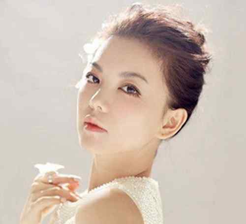 黄汉伟第二个老婆 刘奕君二婚老婆是谁?刘奕君前妻是谁?