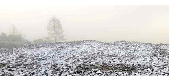 中国最冷的地方 中国最冷小镇迎来2020年首场降雪：中国最冷小镇是哪里，国内最冷的城市是哪个？