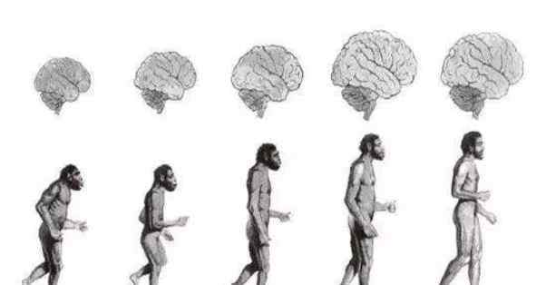怎么不是人类 研究：人类正加速进化是怎么回事，人类加速进化到什么程度了