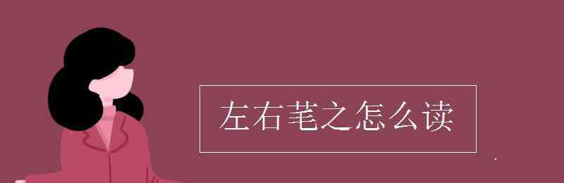 芼怎么读 左右芼之怎么读