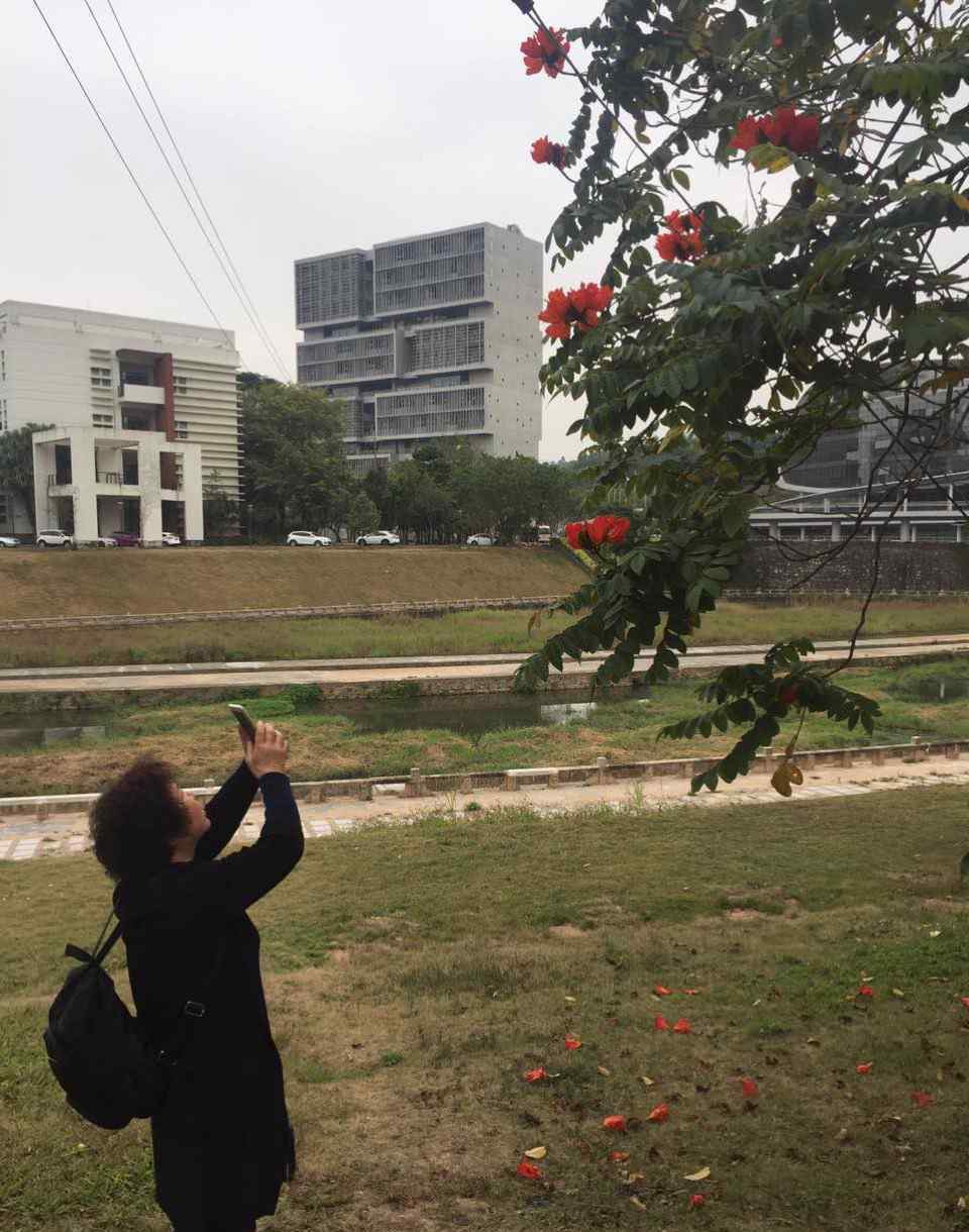 深圳大学图书馆 深圳大学城图书馆