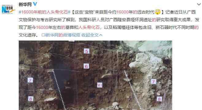 额骨是哪里 16000年前的人头骨化石长什么样，在哪里发现的，人头骨化石有价值吗