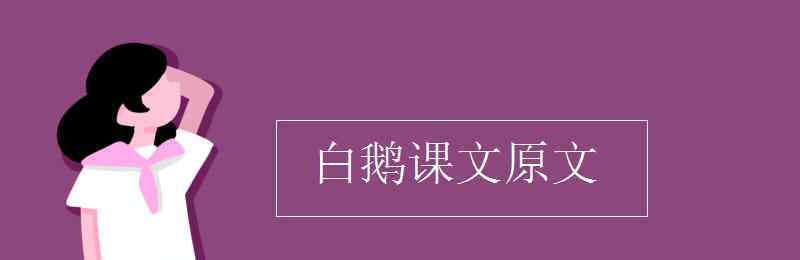 白鹅课文 白鹅课文原文