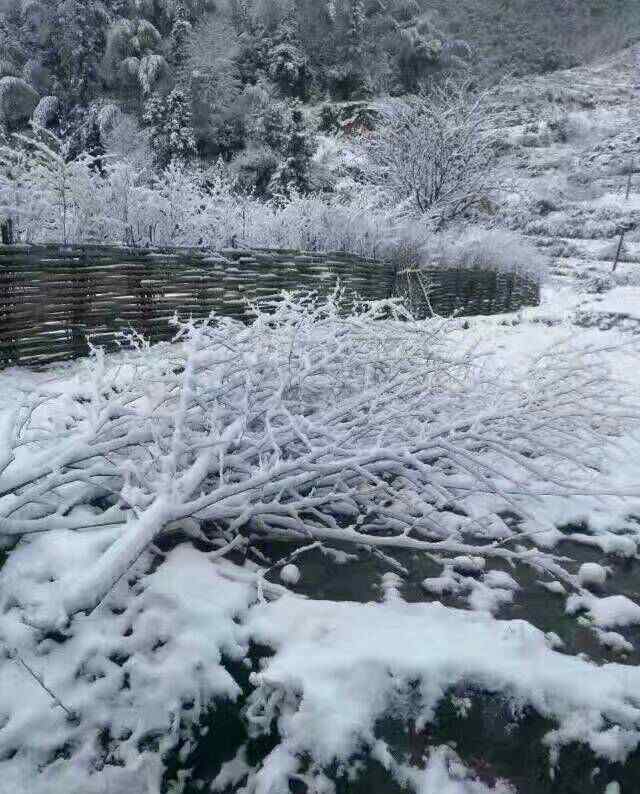 布永康 如何看待福音派与灵恩派的区别？