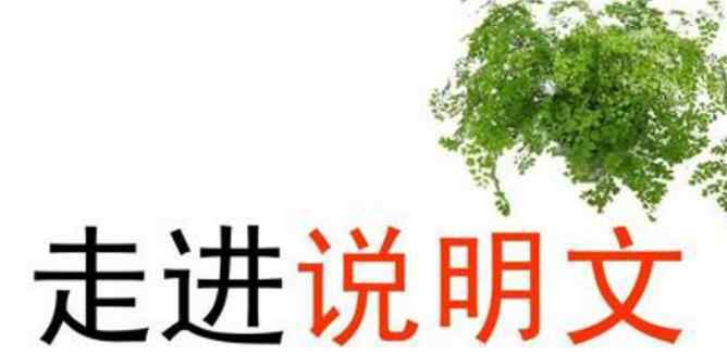 说明文阅读答题技巧 说明文阅读知识点_说明文阅读答题技巧归纳
