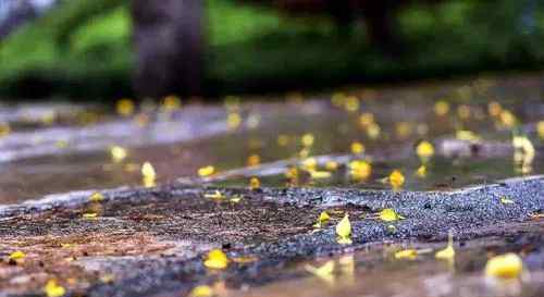 小簟 共眠一舸听秋雨，小簟轻衾各自寒。