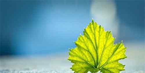 六一儿童节活动主题 2020六一儿童节主题活动创意方案精选5篇