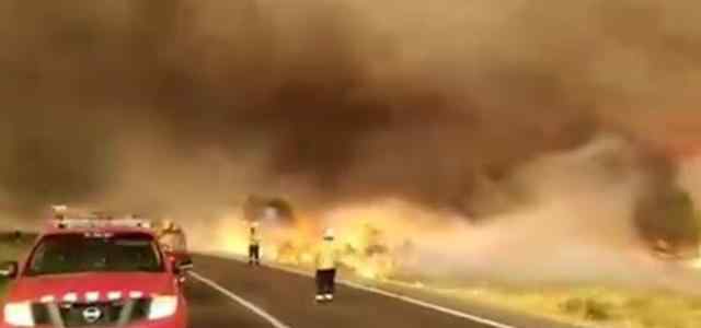 西班牙山火 西班牙山火 累计超过1万公顷森林被烧毁
