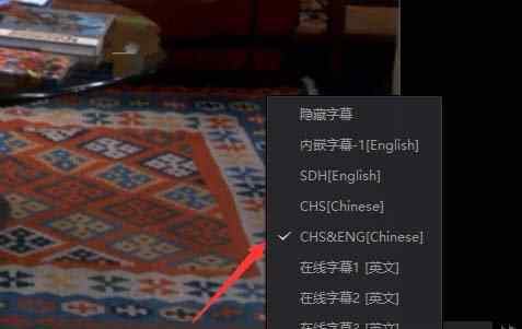 爱奇艺字幕设置在哪里 爱奇艺播放器怎么切换视频字幕 视频字幕切换图文教程
