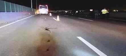 高速路惊现幽灵车 高速路惊现幽灵车，开车回家途中发生意外！