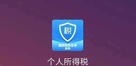 个人所得税申报软件 个人所得税app申报方式应该选哪个