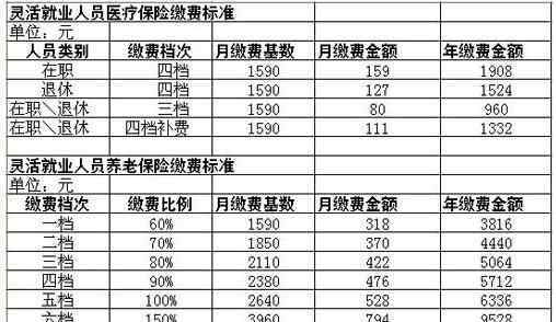 公司社保怎么交费 公司社保怎么交费，该怎样对公司社保进行支付，需要注意的内容有哪些？