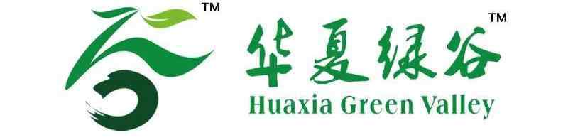 哈尔滨地铁二号线 哈尔滨地铁2号线首列车长这样｜记者带你登车体验