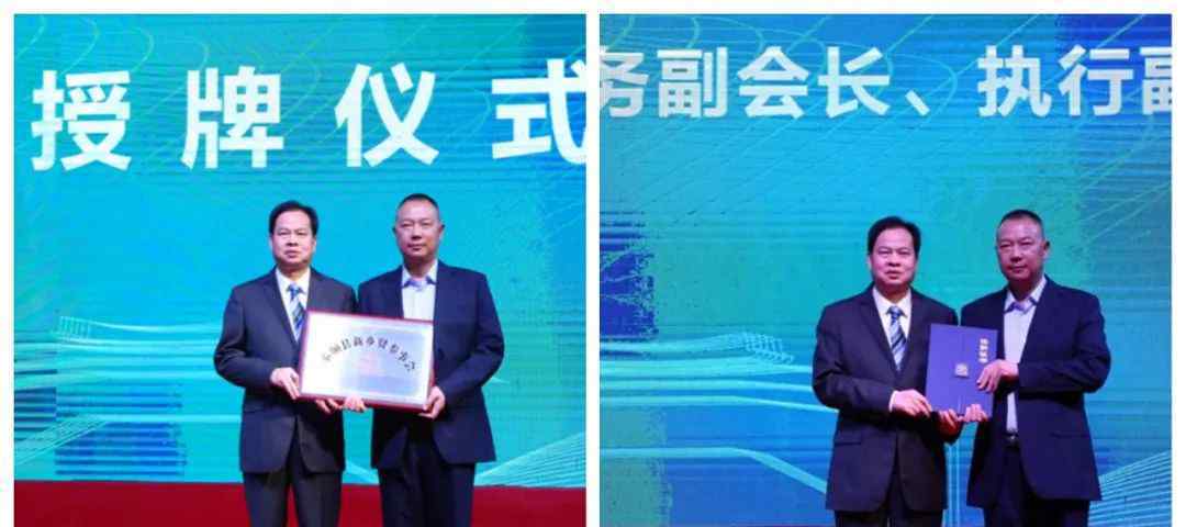泰顺新闻 严立淼当选泰顺县新乡贤参事会首任会长