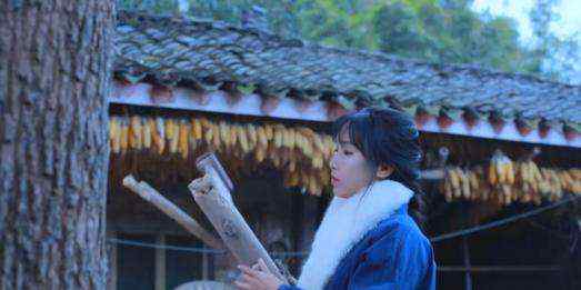 李子柒弹棉花 李子柒弹棉花，旧棉花弹成了新棉花！