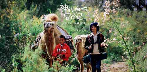 驼道 《神秘白驼冒险记》克拉玛依杀青圆满 发预告片花海报初现西部公路驼道风情