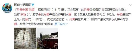 丹麦全国“杀貂” 什么情况会有什么影响