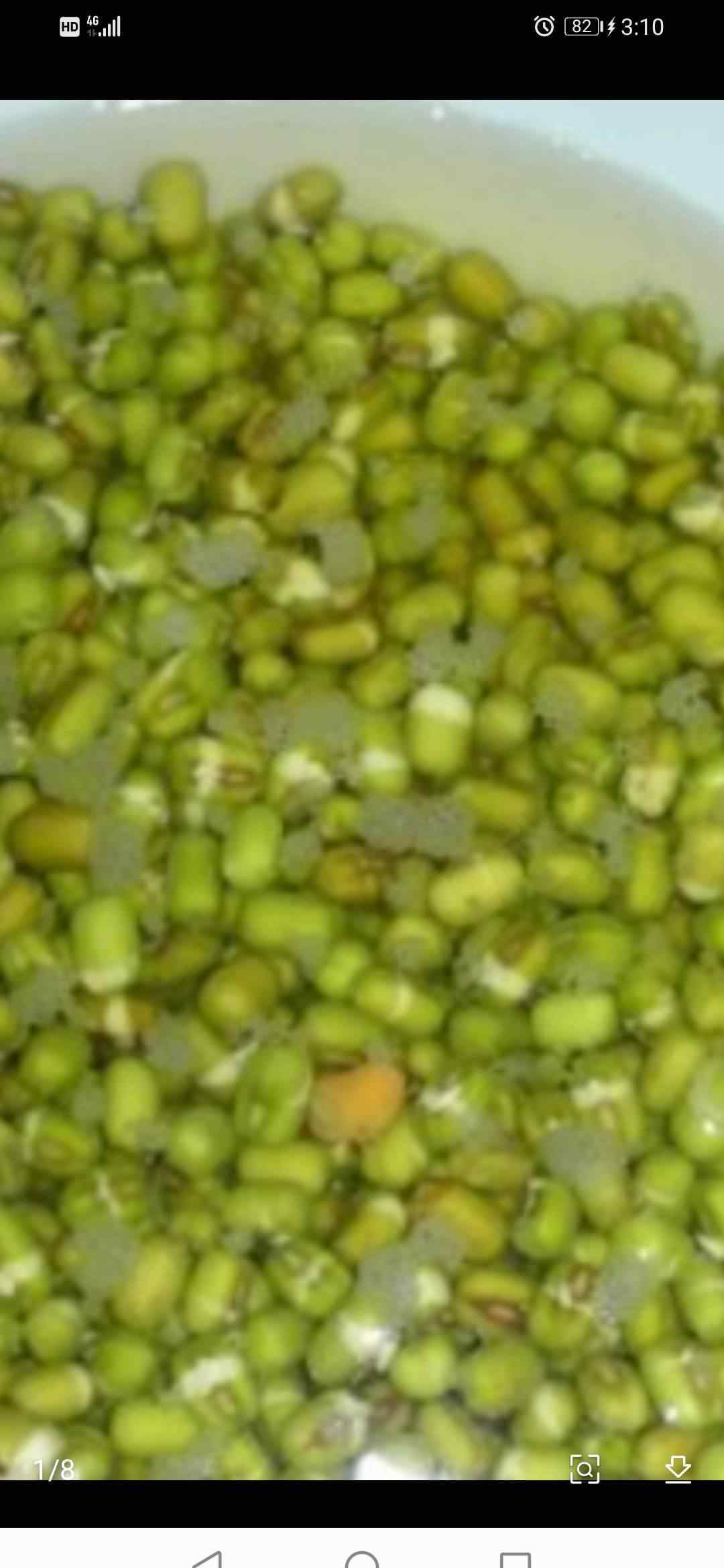 怎样生绿豆芽又粗又长 生绿豆芽