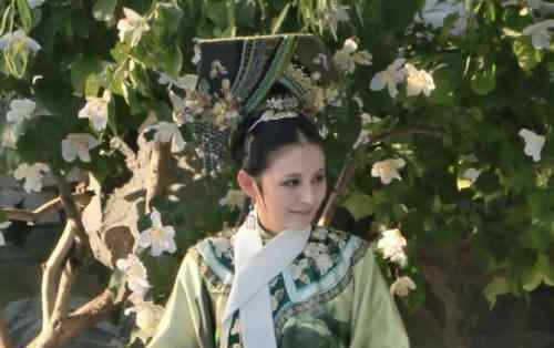 热依扎甄嬛传 《甄嬛传》叶澜扮演者是谁 叶澜扮演者热依扎资料