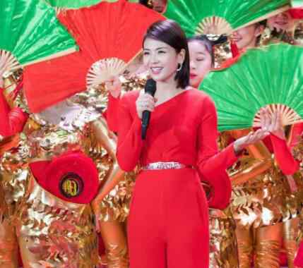 袁茵戴志诚 刘涛春晚发型图片 刘涛春晚发型如何扎