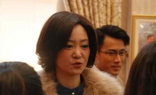 刘恺威是谁 李馥莹的儿子是谁 李馥莹儿子刘恺威资料