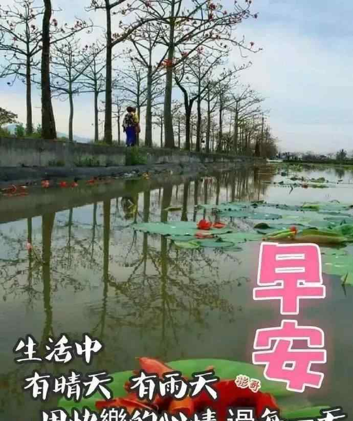 马克李维 早安:马克·李维《偷影子的人》