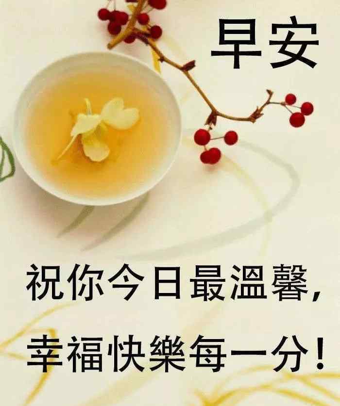 马克李维 早安:马克·李维《偷影子的人》