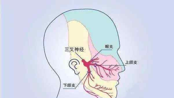 痛风药排名 疼痛排名前五的疾病，经历过的都是勇士