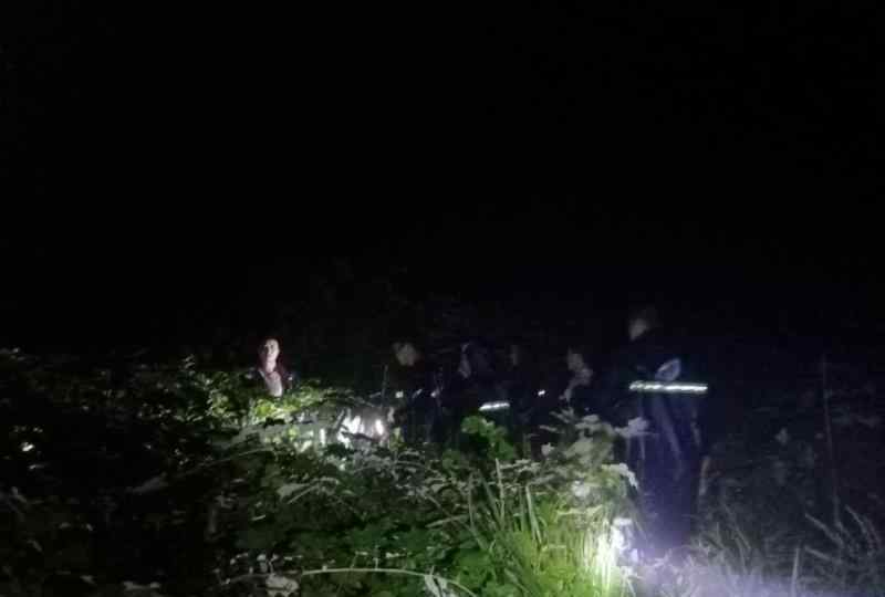 枞树菌 枞树菌好吃路难辨，三人因此迷路深山……