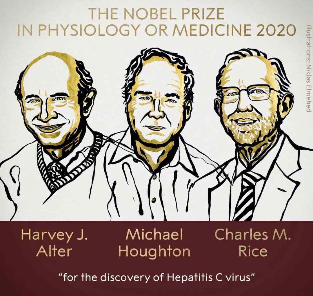 丙型肝炎病毒抗体 诺贝尔奖颁给丙肝病毒发现者，速看丙肝实验室诊断最全方案