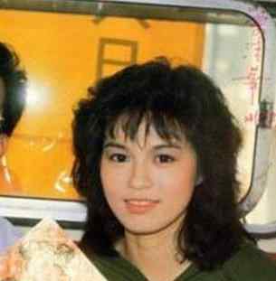 梁洁华个人资料 黄日华老婆梁洁华个人资料照片 婆梁洁是做什么的