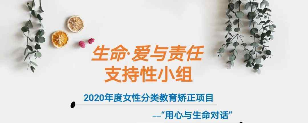 爱与责任2 【项目】开展“生命·爱与责任”小组第二次活动
