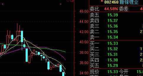 什么是配股 配股是什么意思，配股的种类及操作流程是什么？