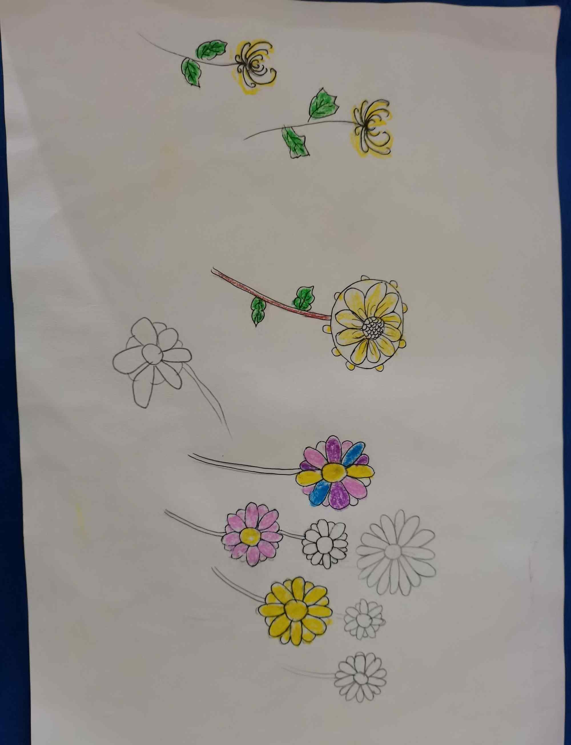 国画四君子 国画四君子之菊花——仁和幼儿园大大一班