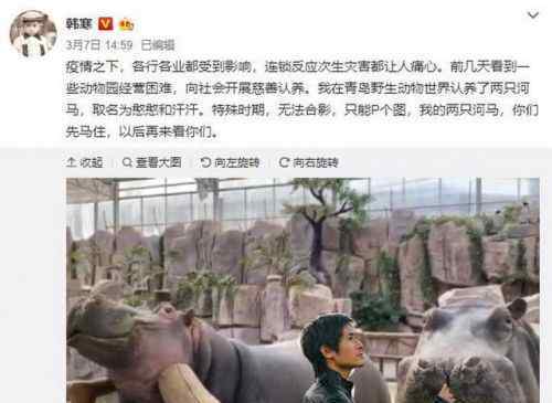 韩寒认养两头河马 韩寒认养两头河马 目前已有500多人参与认养