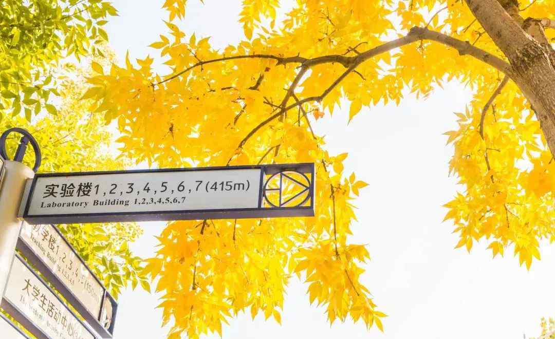 世宁大厦 可以，这很北航！你不在的日子，这些楼有了新名字！精准定位！