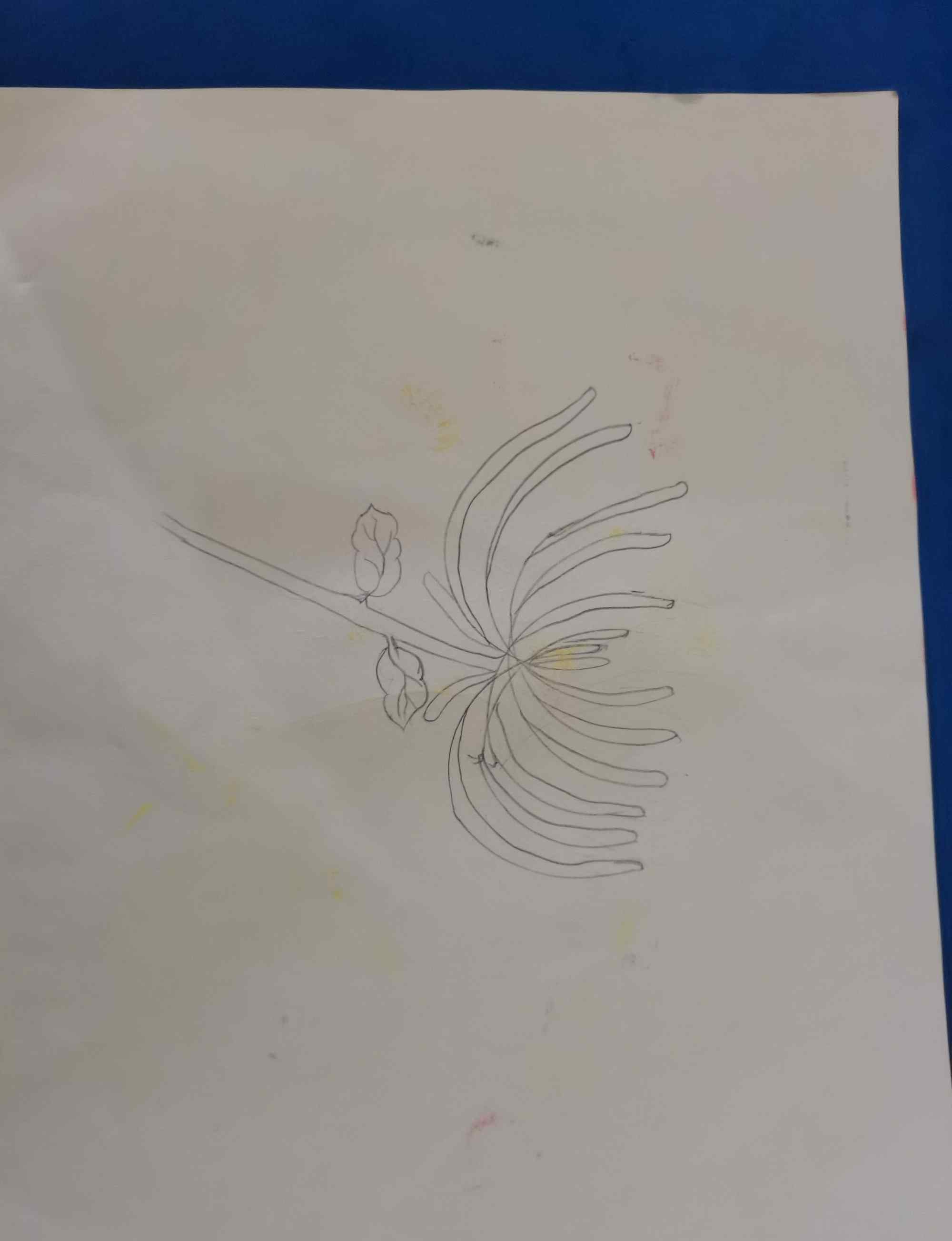 国画四君子 国画四君子之菊花——仁和幼儿园大大一班