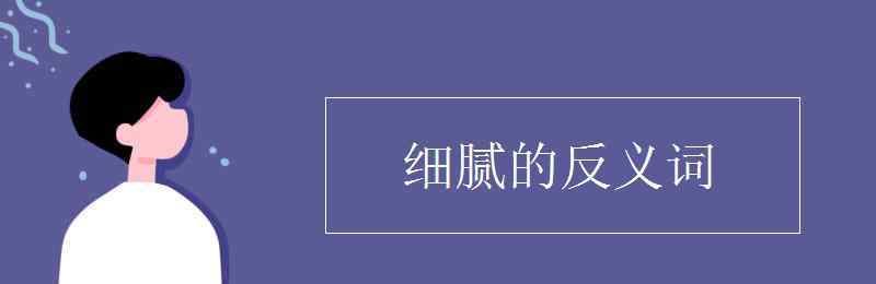 细心的反义词 细腻的反义词