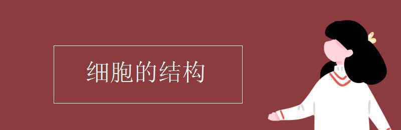 细胞结构 细胞的结构